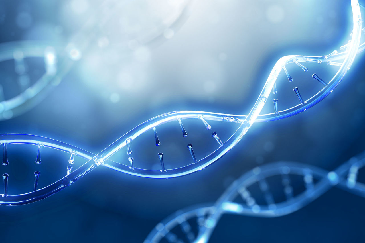 How does the sample affect the DNA test?